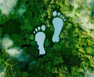 Naturio BIO-Plastics