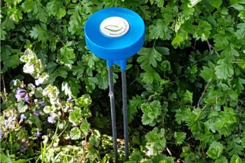 Vochtsensor draadloze monitoring | 30cm | incl. jaarabonnement