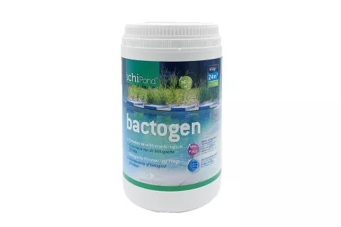 Ichi Pond Bactogen 24000 | 650g