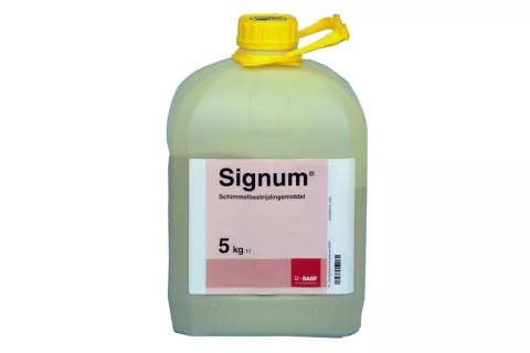 Signum | 5kg