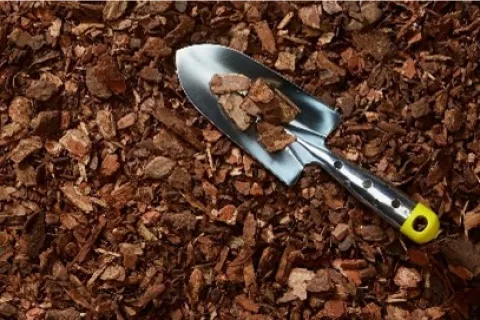 Sylvester 10-20 | los