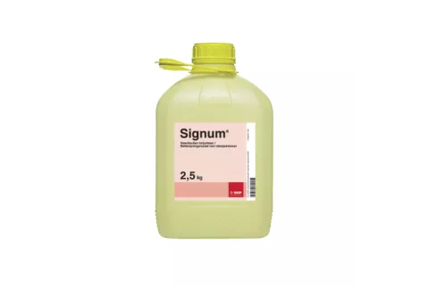 Signum | 2,5kg