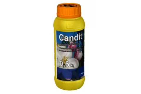 Candit | 600g
