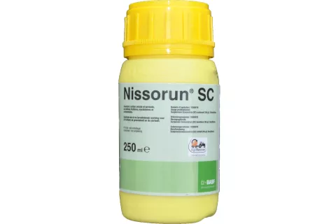 Nissorun SC | 250ml