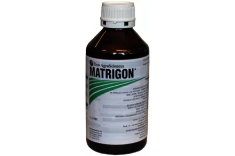 Matrigon | 1L